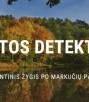 пруд парка Маркучяй, осенние деревья; текст: название мероприятия